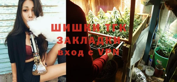 индика Алапаевск