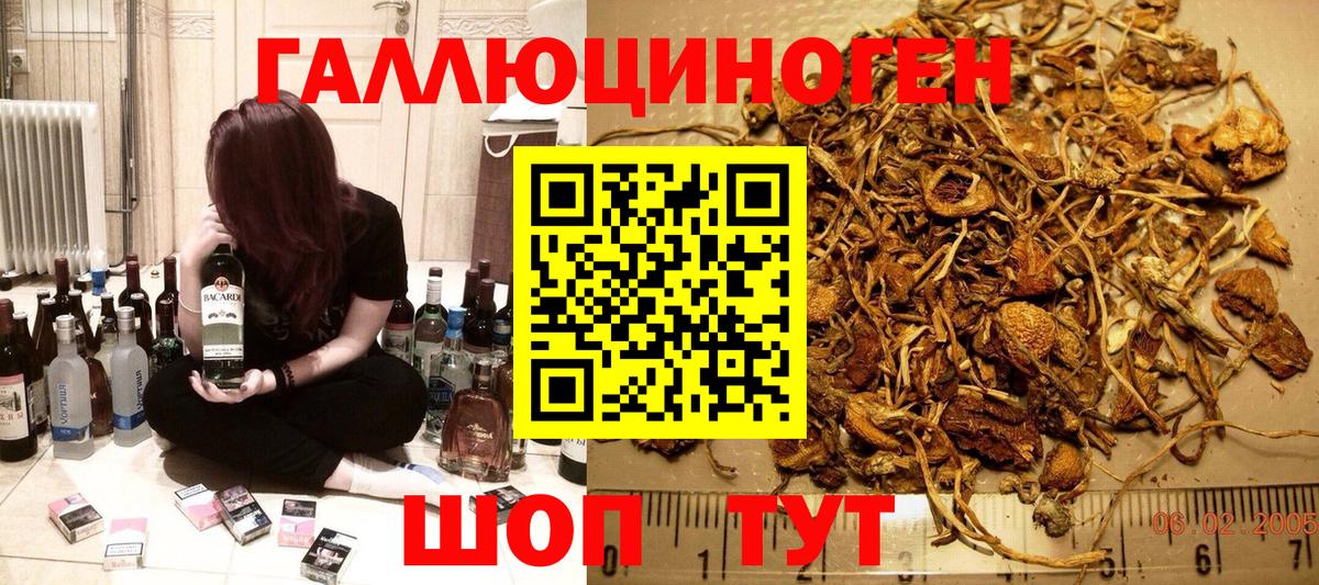 Галлюциногенные грибы MAGIC MUSHROOMS Аксай